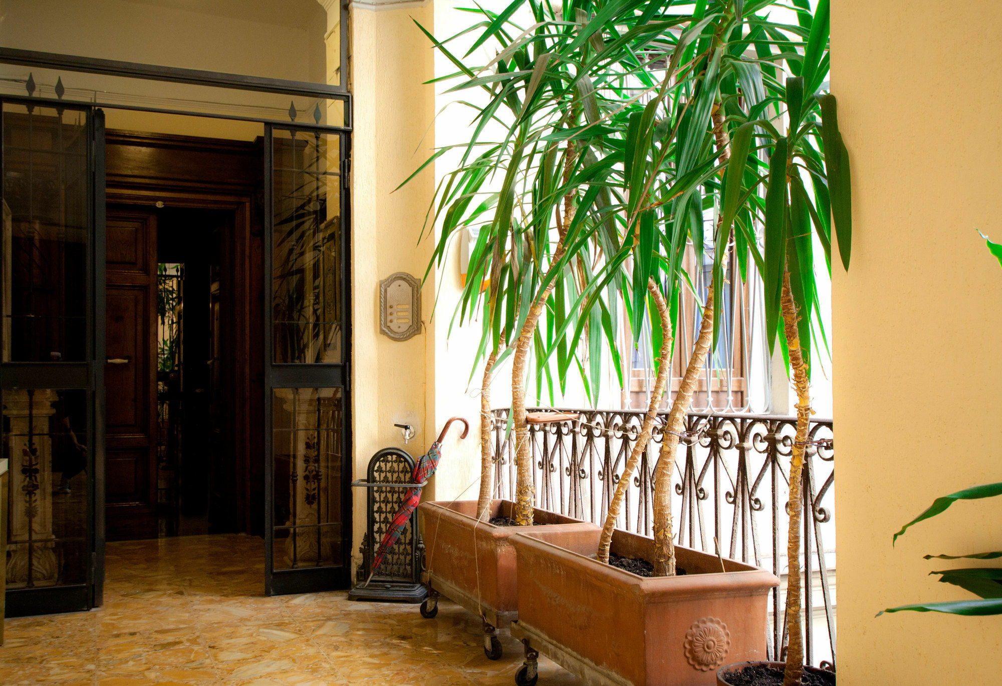 Guesthouse Borromeo Roma Exterior photo